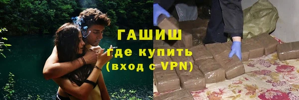 PSILOCYBIN Козловка