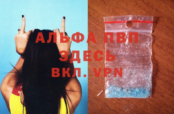 прущие грибы Кодинск
