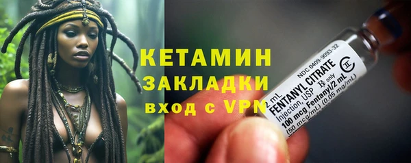 прущие грибы Кодинск
