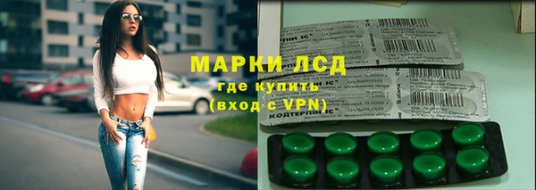PSILOCYBIN Козловка