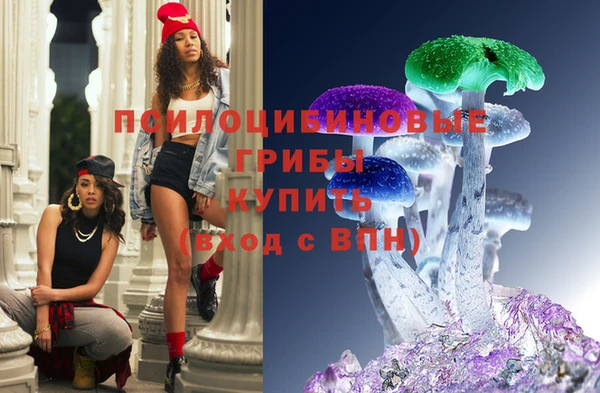 прущие грибы Кодинск
