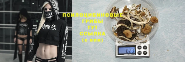 прущие грибы Кодинск