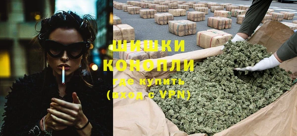 PSILOCYBIN Козловка
