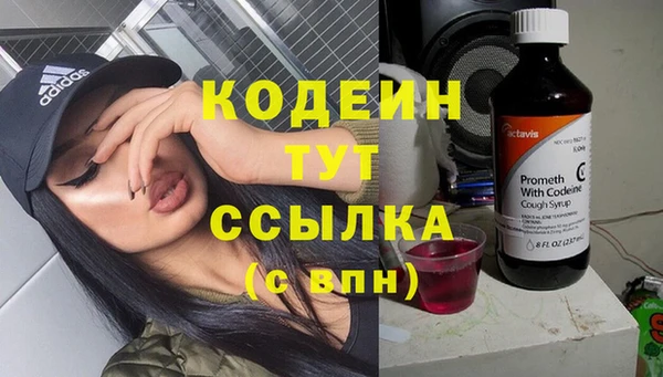 PSILOCYBIN Козловка