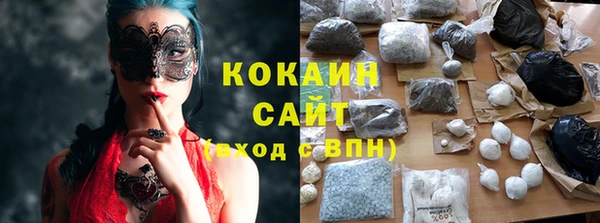 прущие грибы Кодинск