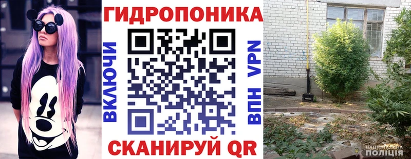 Бошки Шишки Bruce Banner  MEGA ссылки  Орехово-Зуево 